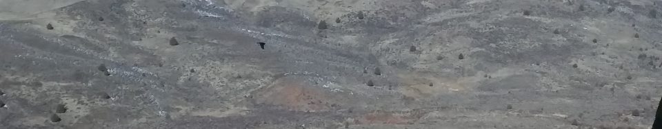 Peak 5562 views from Split Rock. Brett Sergenian Photo