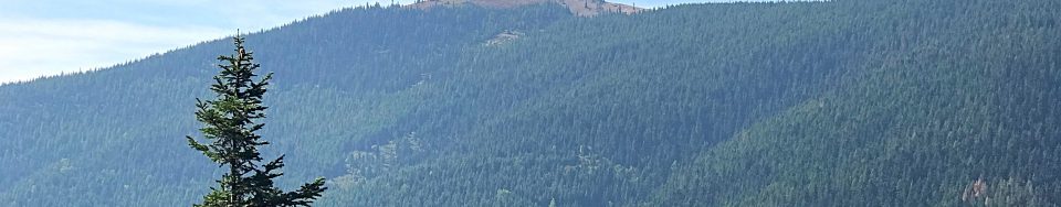 North Chilco Mountain viewed from Prospect Peak.