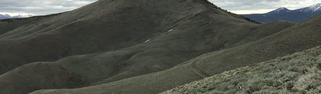 Peak 8387 viewed from the north.