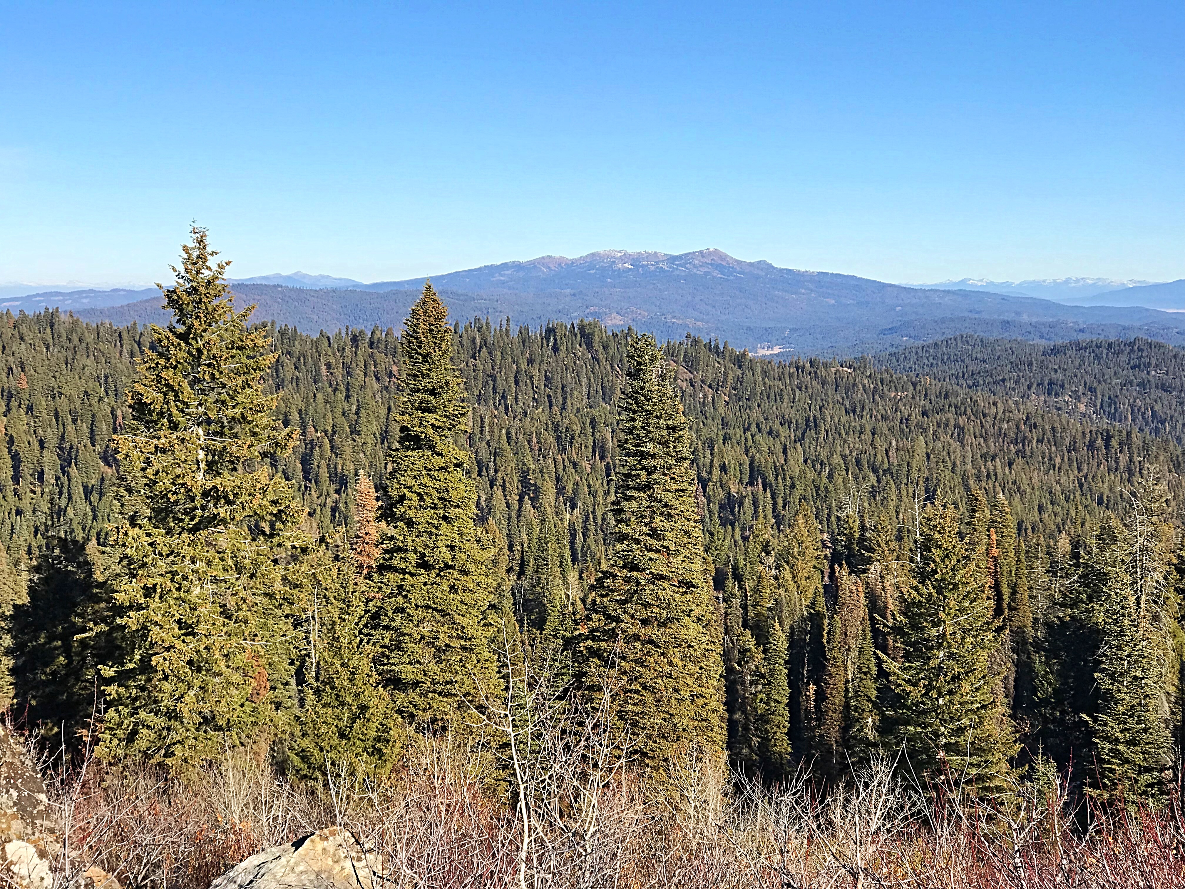 Looking north along the West Mountains crest from Dry Buck Mountain to Tripod Peak. This section of the West Mountains is mostly between 5,500 and 6,000 feet and covered with dense forest.