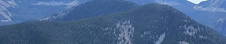 Peak 9681 on the horizon and Peak 8910 in the foreground viewed from N Mountain.