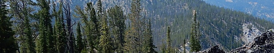Peak 8854 viewed from Peak 8722. Peak 8894 is in the background on the left. John Platt Photo