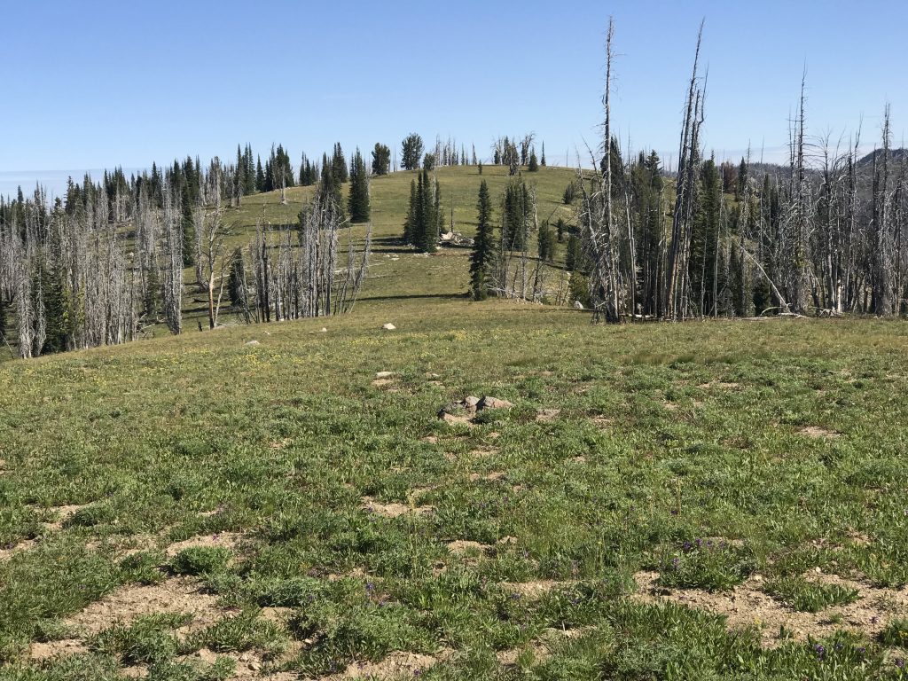 Looking south toward the south summit from the north summit.