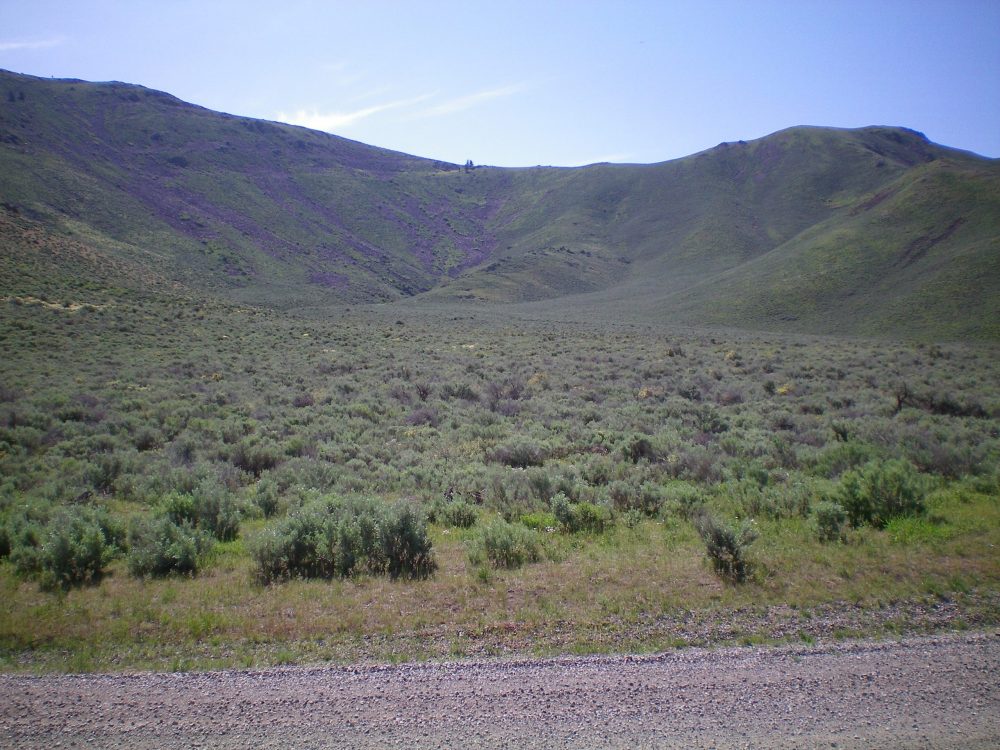 The South Ridge, ridge saddle, and West Gully descent route on Pine Mountain, as viewed from Fish Creek Road. Livingston Douglas Photo