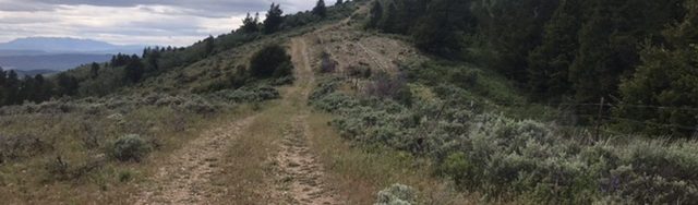 Peak 7217 viewed from the 4WD road that leads to the summit.