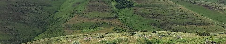 Peak 5208 from Willow Ridge aka Willow Peak.