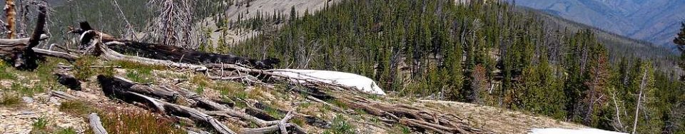 Center Mountain. Dave Pahlas Photo