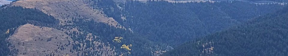 Florida Mountain viewed from Tennesee Mountain.