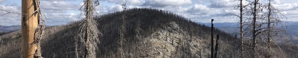 Peak 8420 viewed from the south.