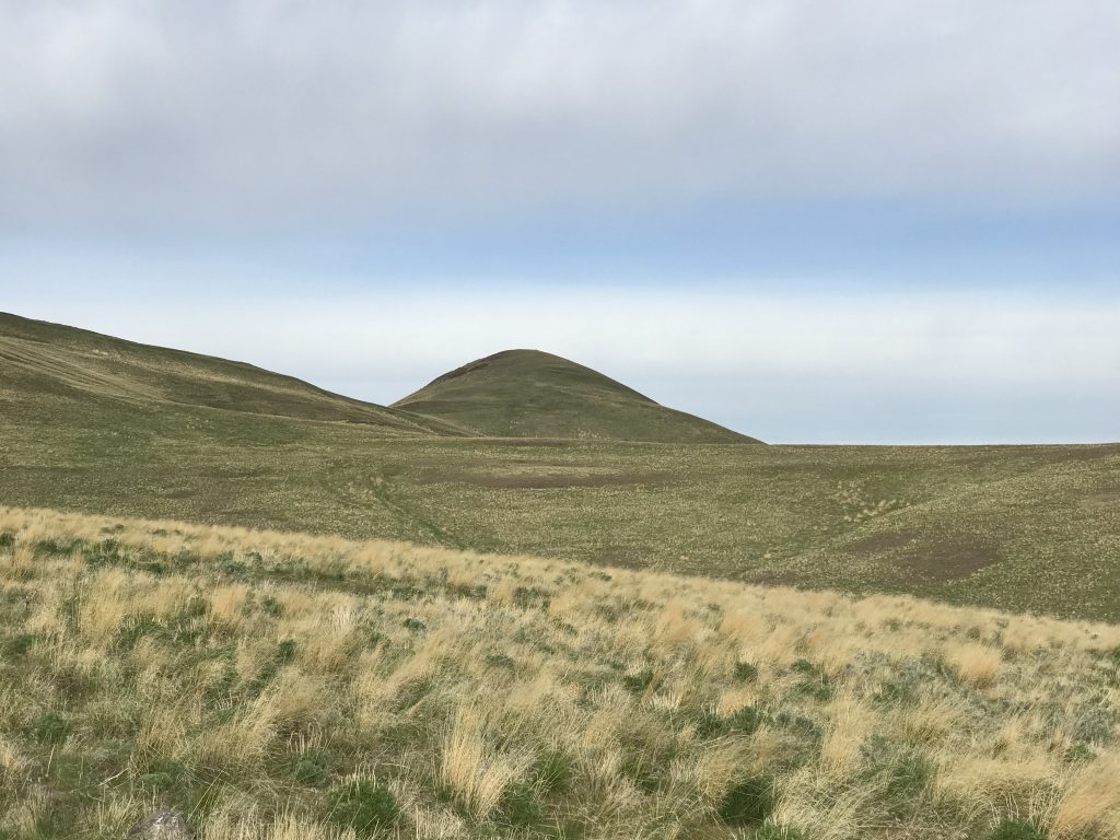 Tims Peak viewed from the east.