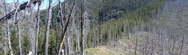 Peak 8860 (Center Ridge #2) viewed from the south. John Platt Photo