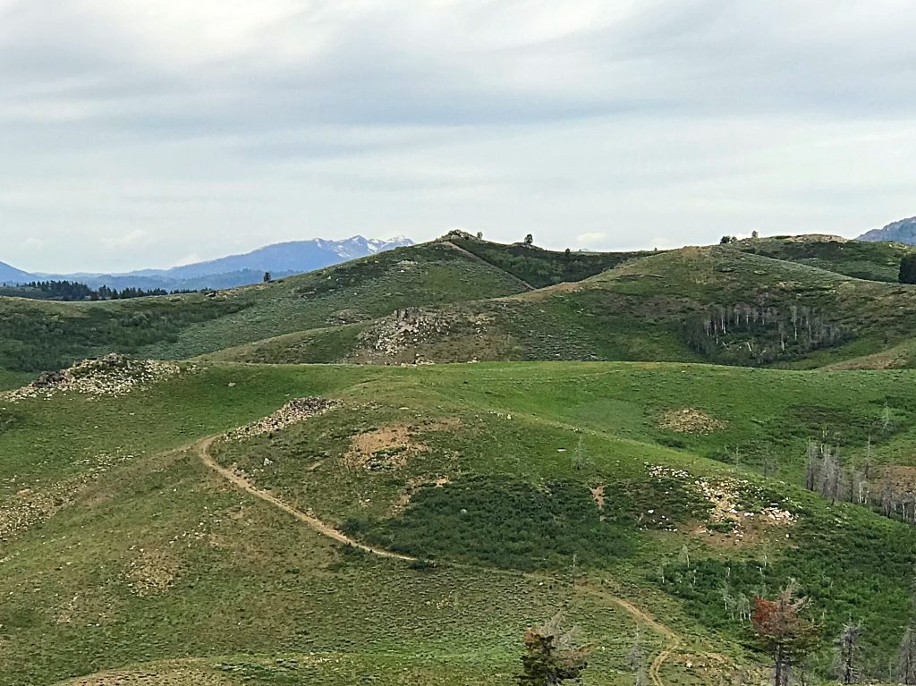 Peak 6860 viewed from the southeast. The cut running up,toward the summit is a bulldozer track made to install a range fence.