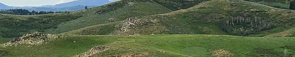 Peak 6860 viewed from the southeast. The cut running up,toward the summit is a bulldozer track made to install a range fence.
