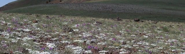 Peak 9977. Rick Baugher Photo