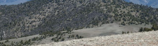 Peak 9291 viewed from Peak 9248.