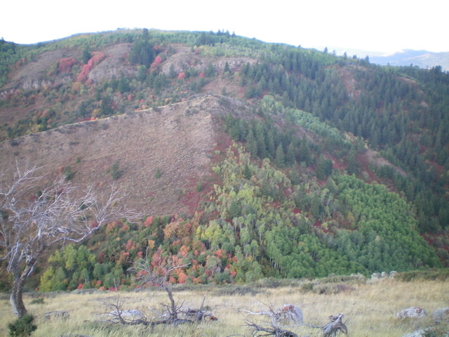 A look at the ridge traverse from Peak 6958 to Peak 7100 from the summit of Peak 6958. The summit of Peak 7100 is left of center behind a final patch of thick aspens. An intervening hump must be crossed first. Livingston Douglas Photo