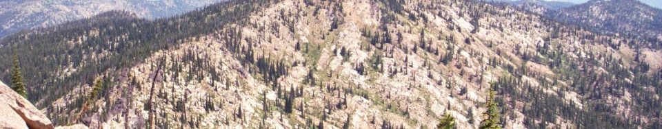 This is the gentle south side of Indian Peak. The ridge running north is basically as high as the high point. The view is from Rocky Peak. July 2007 Mike Hays Photo