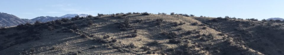 Polecat Mountain viewed from the south.