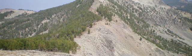Goldstone North as viewed from the south on the Continental Divide. The summit hump is the small, darkish mound in dead center. Livingston Douglas Photo