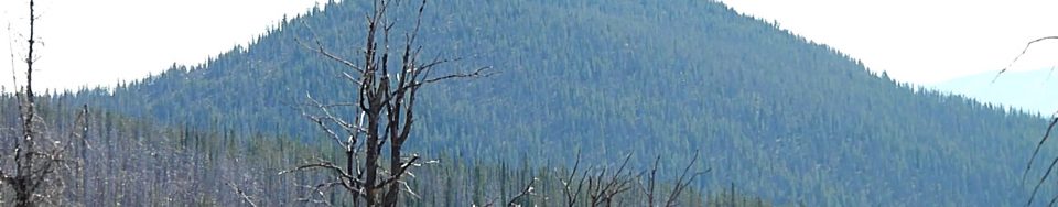 Peak 8894 viewed from Little Baldy.