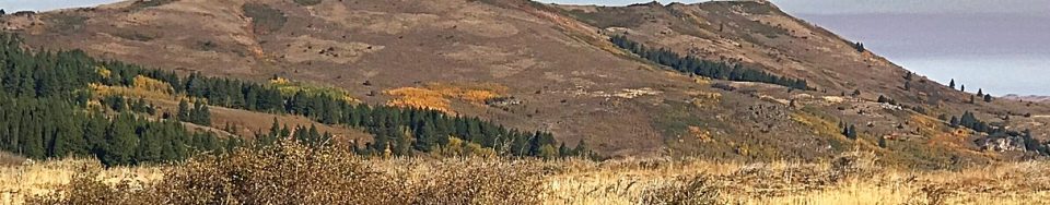 Jacks Benchmark viewed from the northern Owyhee Mountains Crest Road.