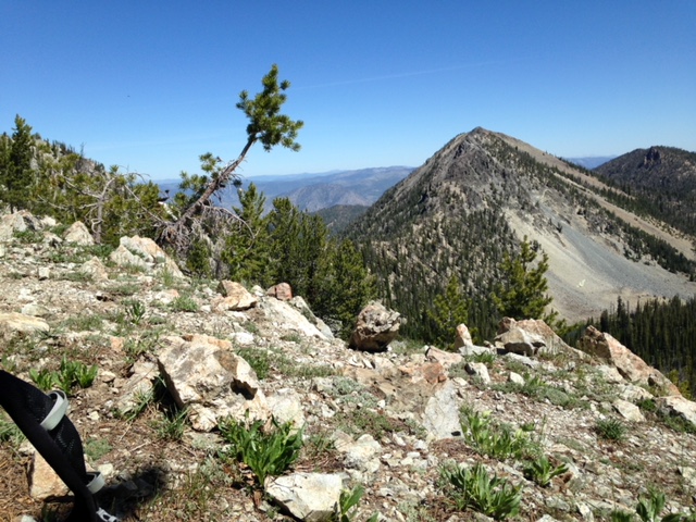 After a number of hours we finally got up to a ridge, and over it was our objective. Unfortunately we had to go up a ridge, down into a saddle and up again to get there. No more trail. Karen Jones Photo