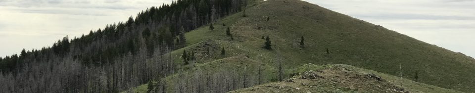 Sheep Point viewed from the north.
