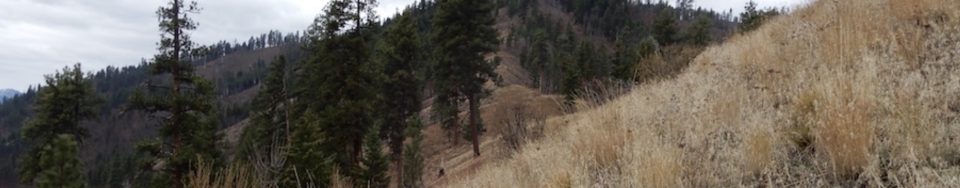 Indian Point Point. John Platt Photo