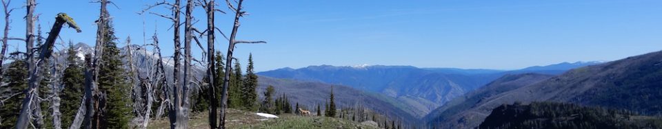 The sumit of Peak 7719. John Platt Photo