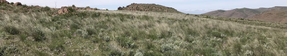 The summit viewed from the east.