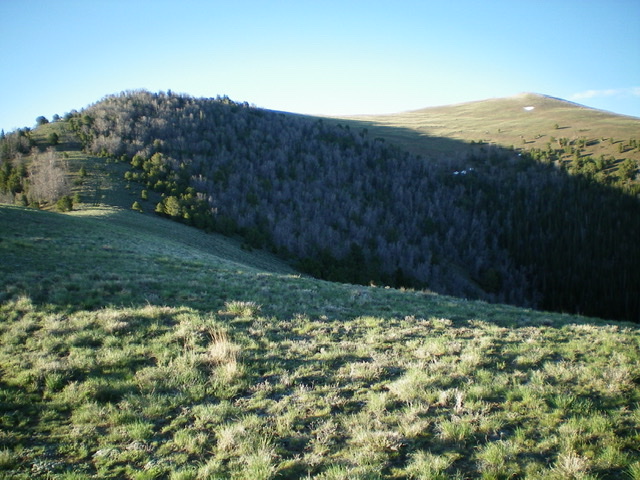 Looking up the north ridge of Peak 9863 from the 9300-foot level. The summit is the open hump well right of center. Livingston Douglas Photo