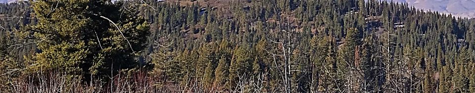 Peak 6340 viewed from Dry Buck Mountain.