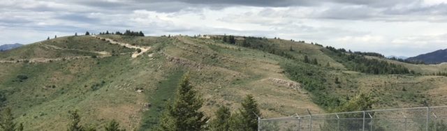 MLD Benchmark viewed from MLD AZ Benchmark.