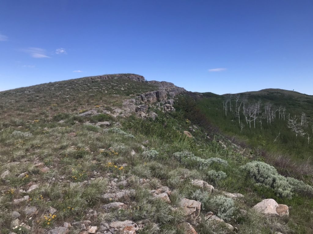 The summit ridge of Samaria Mountain has two high points. The northernmost is the highest by a few feet.