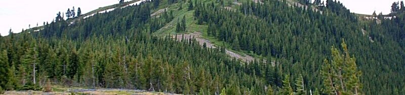 Peak 6180, the Benewah County High Point. Dan Robbins Photo