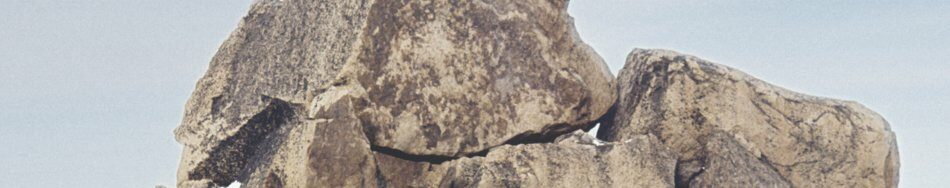 Detail summit photo, First Winter Ascent, March 19, 1973. L to R > James Christopher Hecht, Harry Bowren, Gordon K. Williams, Joe Fox.