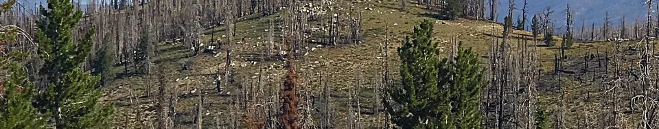 The highest point on Whitehawk Mountain viewed from the lookout.