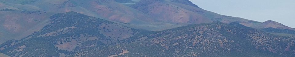 The southern end of the Cotterel Mountains.