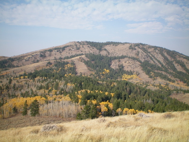 Little Gray Ridge (the skyline) as viewed from the east. The summit is left of center. Livingston Douglas Photo