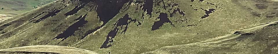 Tims Peak viewed from Dryden Peak.