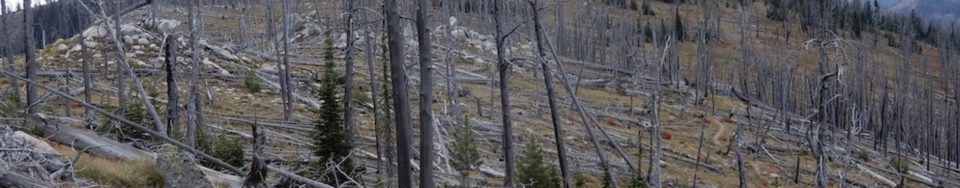Toller Peak. John Platt Photo