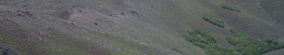 Peak 7174 as viewed from the West Summit of Peak 7158. The North Ridge of Peak 7174 is in the middle of the photo. The ridge traverse between Peak 7158 and Peak 7174 is relatively easy. Livingston Douglas Photo