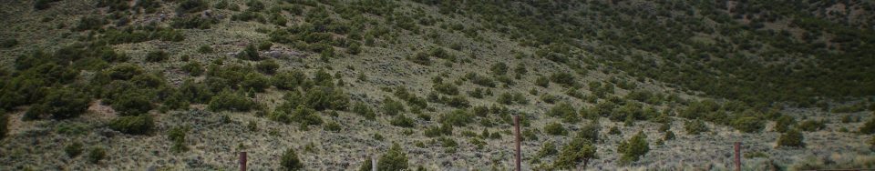 The Southeast Ridge of Arco Hills HP is on the left-half of the photo with Point 7352 being the forested, rocky outcrop just L of center. You cannot see the summit from here, it is behind Point 7352 by a good ¼ mile. The large, concrete-based cattle cistern which serves as the starting point for the Southeast Ridge Route. Livingston Douglas Photo