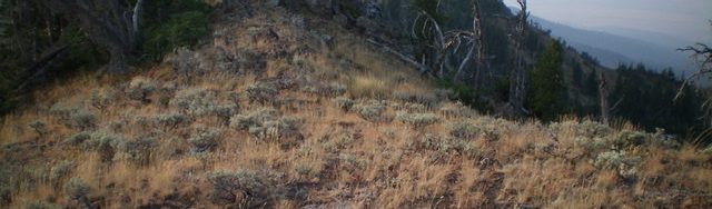The summit area of Mount Two Top. Livingston Douglas Photo