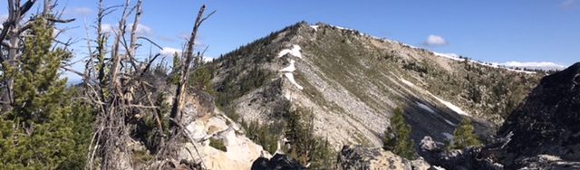 North Pole viewed from the south.