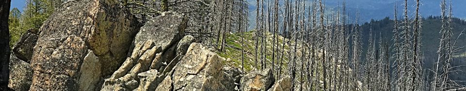 Looking across the summit toward the high point from the east.