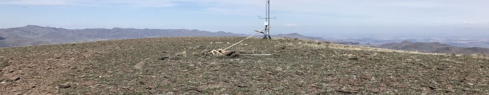 The windswept summit looking north.