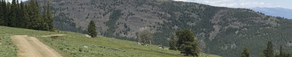 Baldy viewed from the south along the Salmon Mountain Ridge Road near Phelan Mountain
