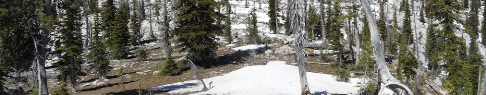 The summit. John Platt Photo