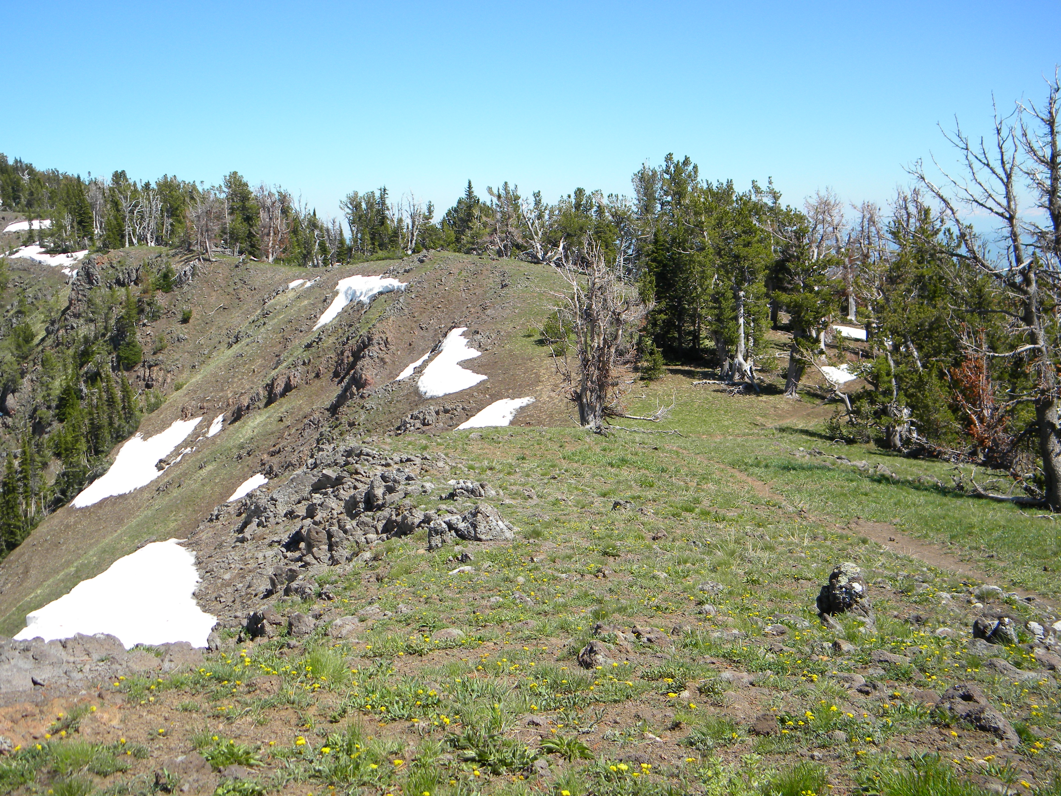 This is the trail along the ridge line about a mile in from the trailhead. June 2009 Mike Hays Photo